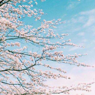 金沙集团186CC下载手机版截图